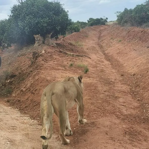 Tausa Tsavo Eco Lodge，位于Voi的酒店