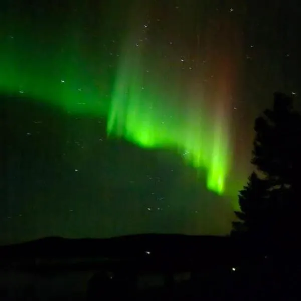 Tervetuloa nauttimhaan puhtaasta luonnosta Pelhoon，位于Saukkooja的酒店