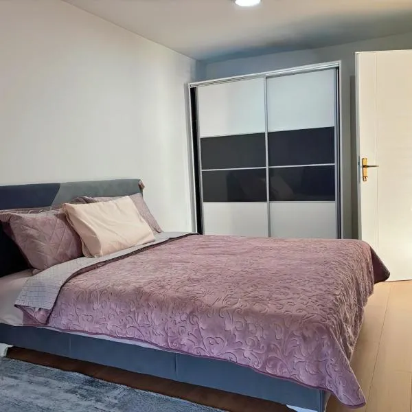 Sanlej Apartman，位于Drežnik的酒店