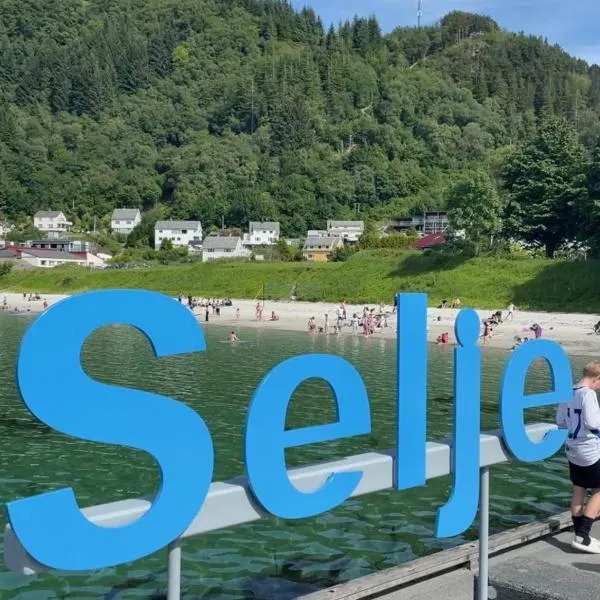 Seljesanden Apartment，位于Selje的酒店