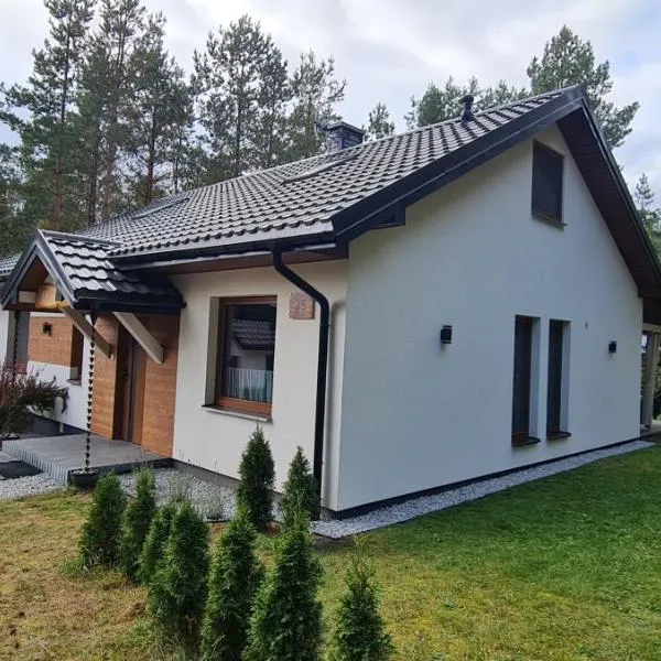 Dom turystyczny Chomiczówka，位于Płaska的酒店