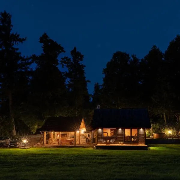 Black Cabin Lokve，位于Homer的酒店