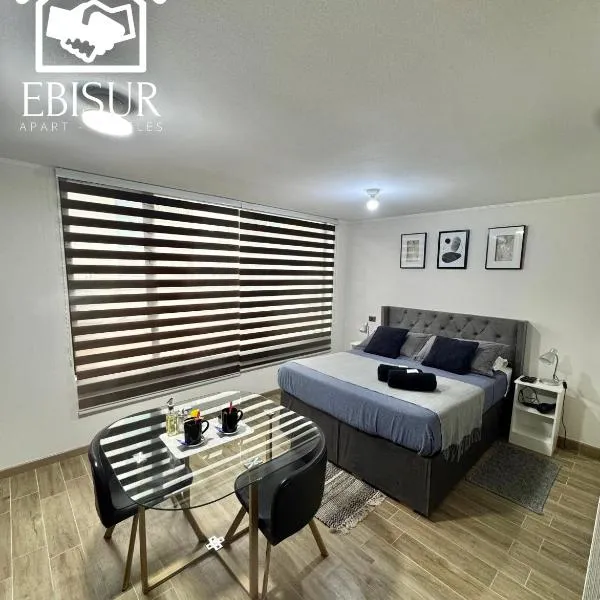 EBISUR Apart - Hoteles MAIPU 2，位于康塞普西翁的酒店