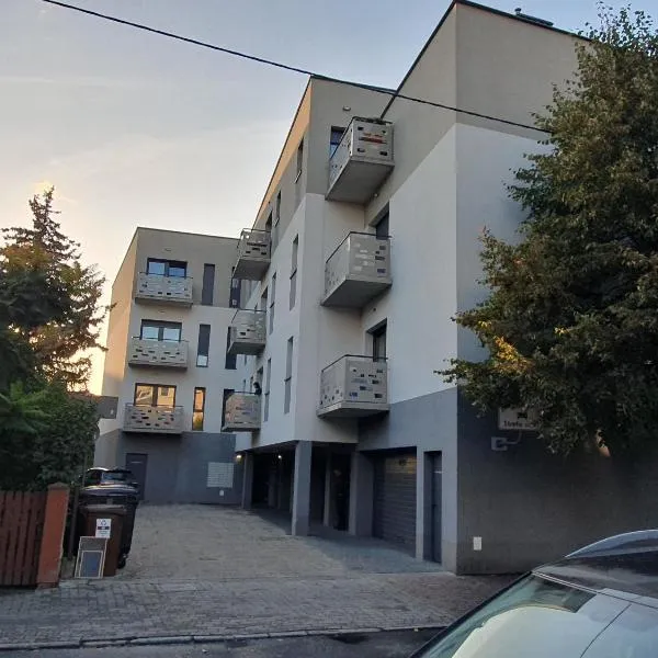 Apartament Słoneczny Sienkiewicza 3A，位于莱什诺的酒店