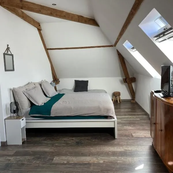 Au Vingt Neuf，位于洛什的酒店