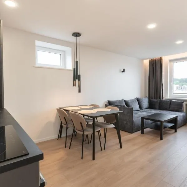 Panorama City View Apartment,位于维尔纽斯的酒店