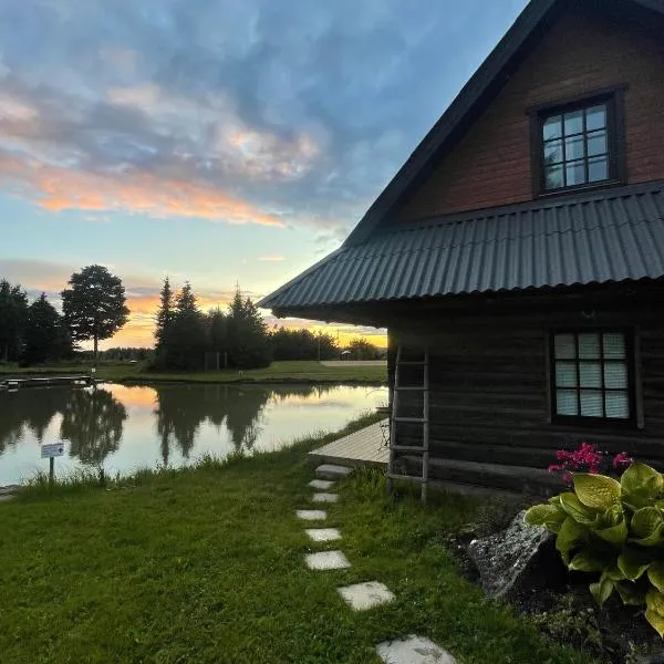 Loghouse by the lake，位于维尔扬迪的酒店
