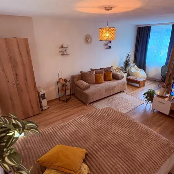 BTY Studio Lakás，位于密古雷休治的酒店