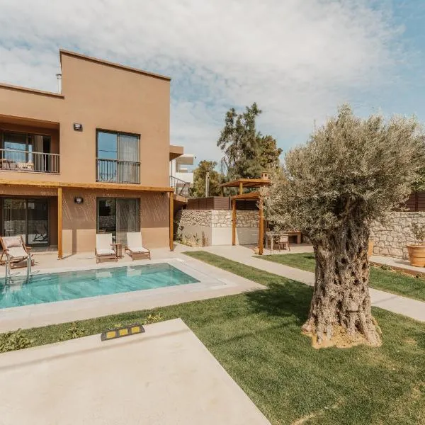 Luxury Suites with private pool and BBQ by Kalles Homes & Suites，位于Áno Kalésia的酒店