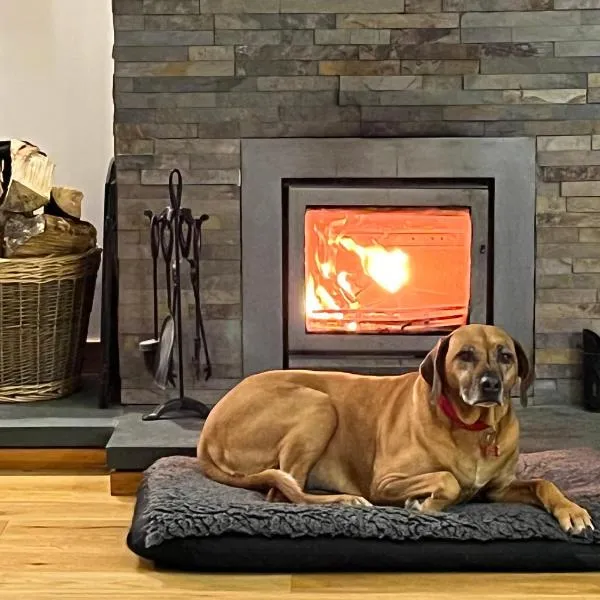 Kirkstone Lodge，位于Insh的酒店