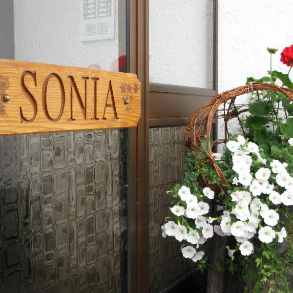 Appartements Pension Sonia，位于富内斯的酒店