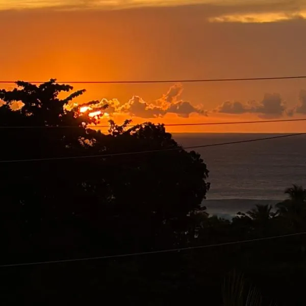 Tres Palmas Boutique Hotel，位于林康的酒店