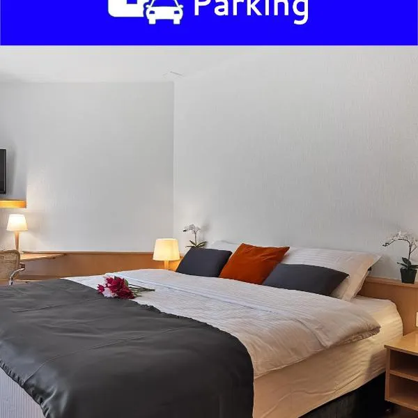 Centra Hotel Zurich，位于巴瑟尔斯多夫的酒店