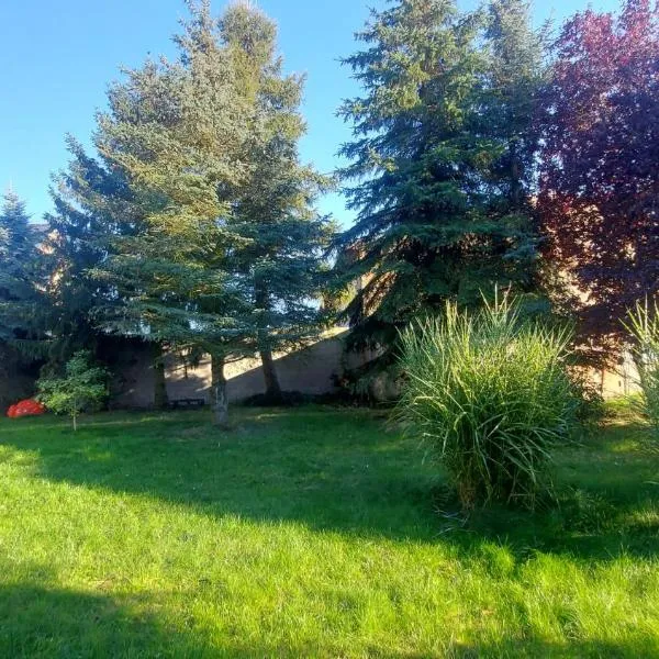 Wiejskie klimaty 66，位于Zamęcin的酒店