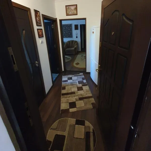 SWEET HOME & LiLiANA，位于Tecuci的酒店