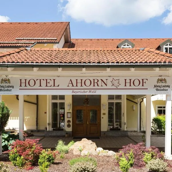 阿霍恩霍夫酒店，位于弗劳埃瑙的酒店
