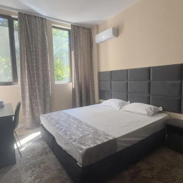 Hotel Garden，位于维丁的酒店