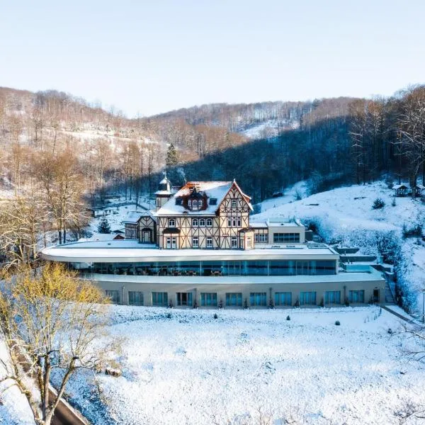 Hotel & Spa Suiten FreiWerk，位于施托尔贝格哈尔茨的酒店