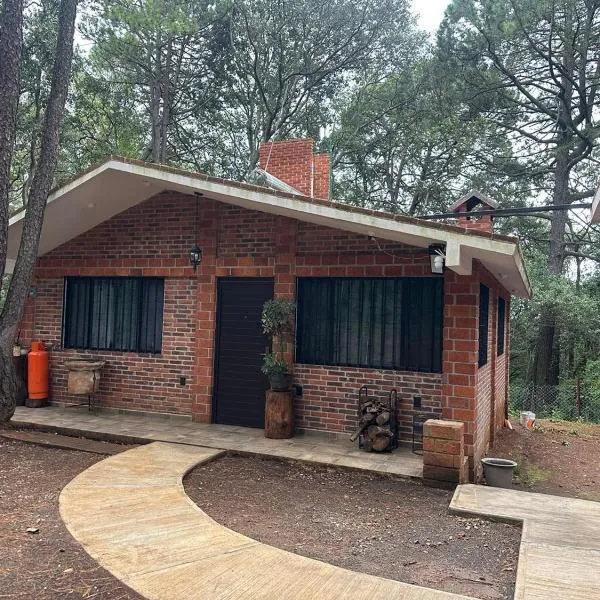 Cabaña en Villa del carbón，位于卡尔波镇的酒店