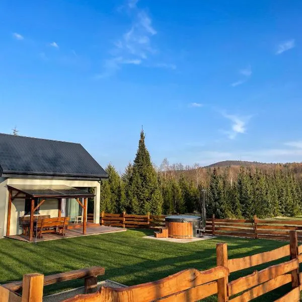 Domek Na Miodowej，位于Sulistrowiczki的酒店