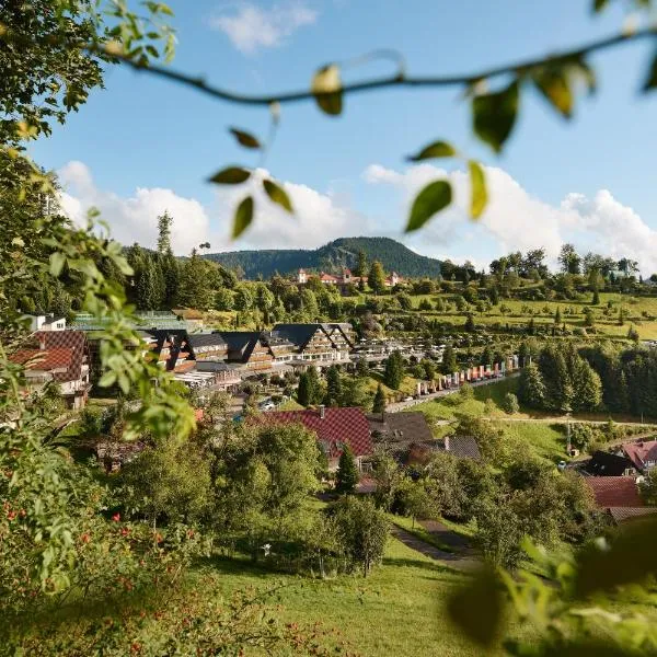 多棱伯格酒店，位于巴特彼得斯塔尔-格里斯巴赫的酒店