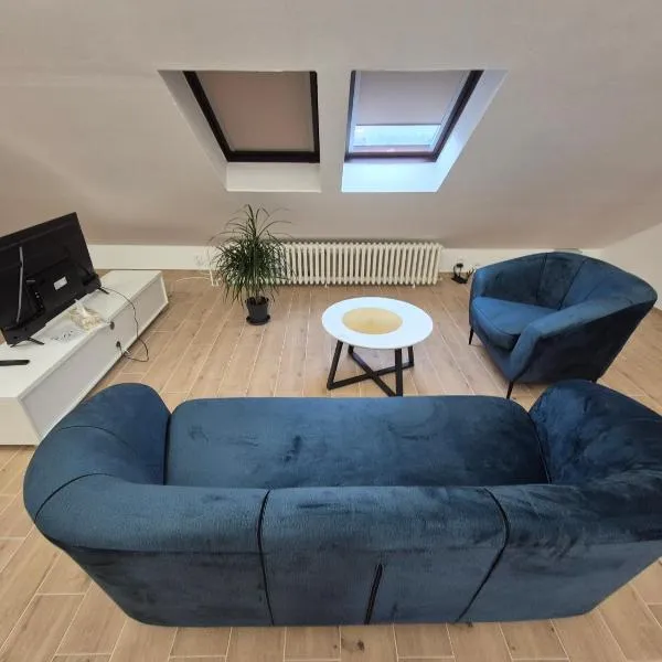 Apartmán Hugo，位于普罗斯捷约夫的酒店