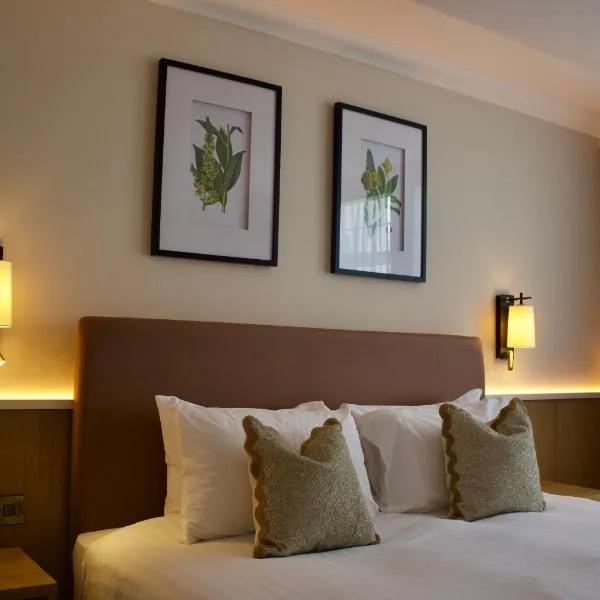 Twin Trees Hotel & Brusna Falls Leisure，位于巴利纳的酒店