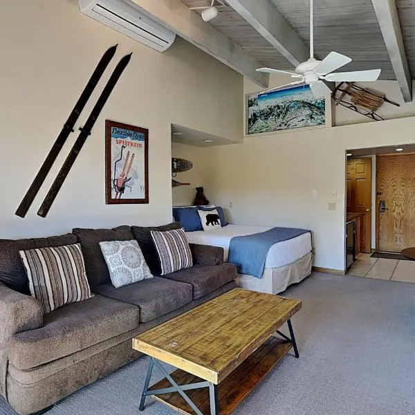 Timberline Condominiums Studio Deluxe Unit 318，位于斯诺马斯村的酒店