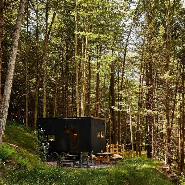 Postcard Cabins Blake Brook, Outdoor Collection by Marriott Bonvoy，位于Farm Street Station的酒店