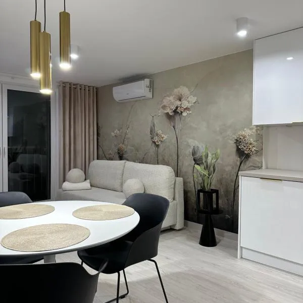 Nowoczesne studio Roweckiego，位于比斯库佩茨的酒店