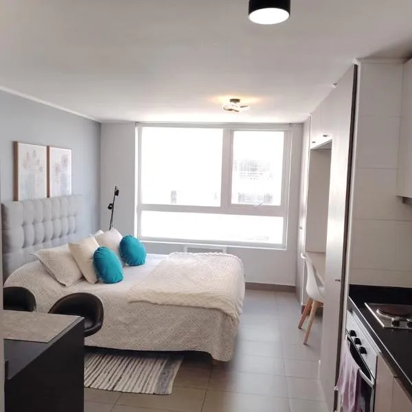Depto Estudio Full equipado con Estacionamiento，位于康塞普西翁的酒店