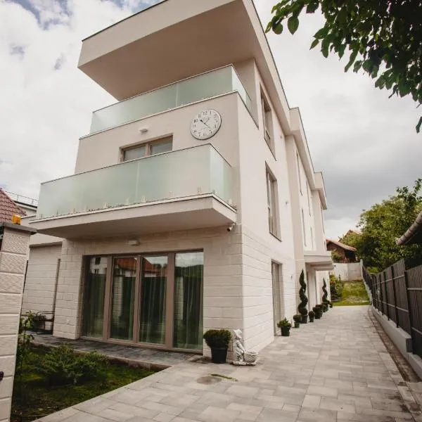White House Iris Cluj Napoca - Apartament 1- parcare gratuita, self check in 24h, aeroport 15 minute !，位于克卢日-纳波卡的酒店