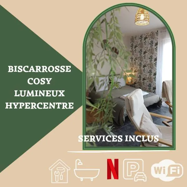 Appartement Lumineux hypercentre - Biscarrosse，位于比斯卡罗斯的酒店