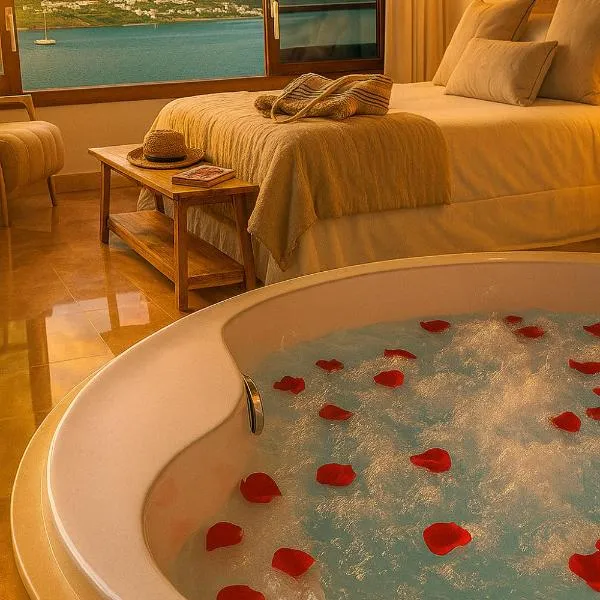 克里斯托港酒店暨Spa，位于德拉塞尔瓦港的酒店