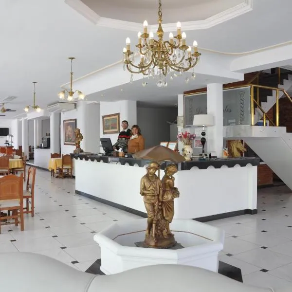 Hotel De Las Artes，位于特尔马斯德里奥翁多的酒店