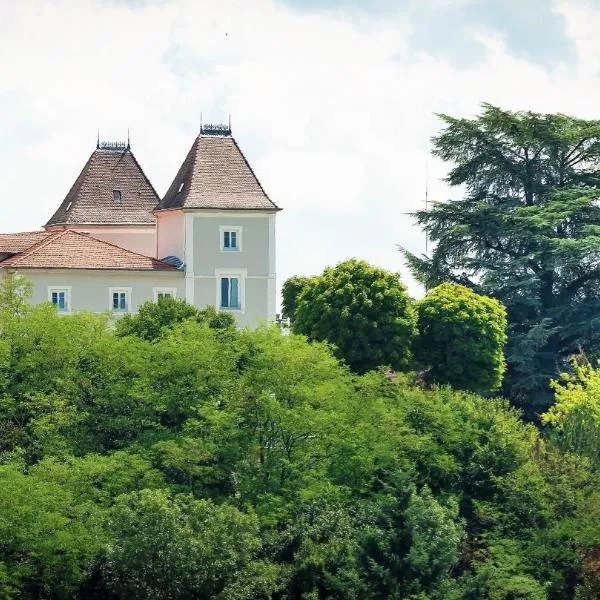 Domaine de Sainte-Croix，位于Sainte-Croix的酒店