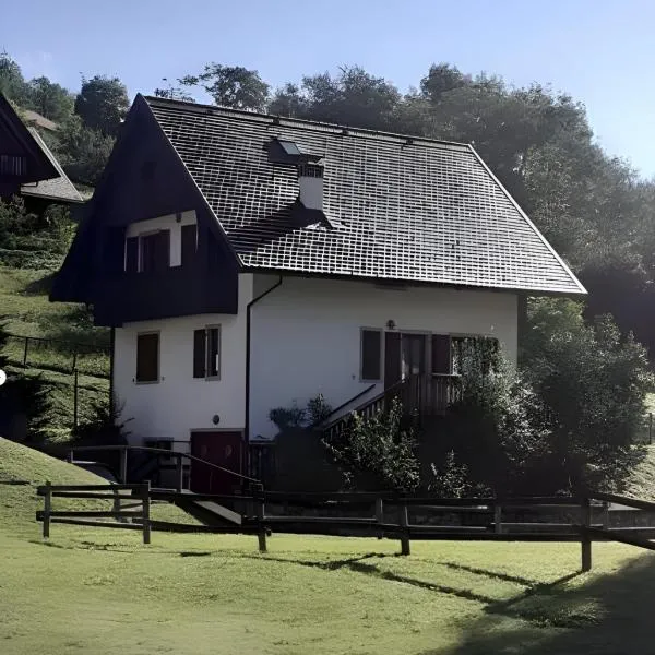 Casa vacanze Ravascletto，位于拉瓦斯克莱托的酒店