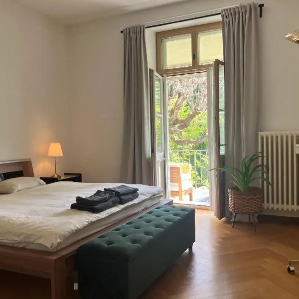 Free Parking & Basel Card & Self-Check-in，位于巴塞尔的酒店