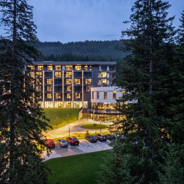 Hotel Pestera Wellness & Spa,位于锡纳亚的酒店