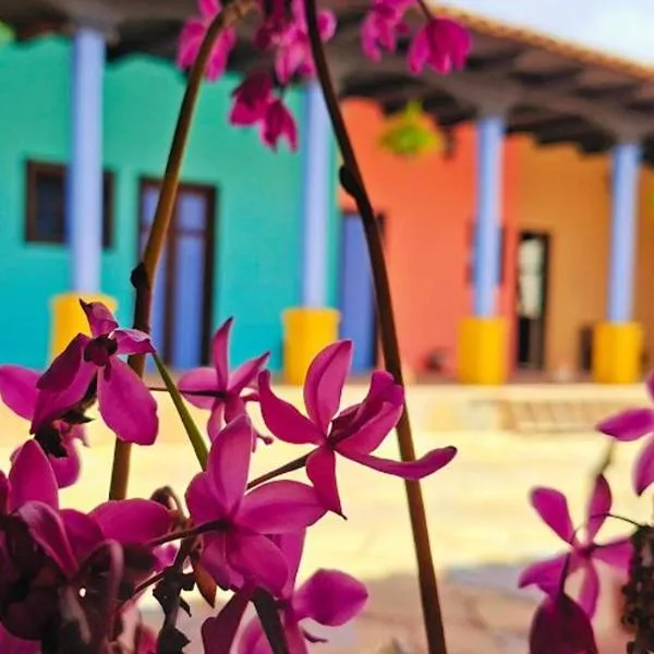 Jazmin Hotel Boutique Colonial，位于科米坦德多明格斯的酒店