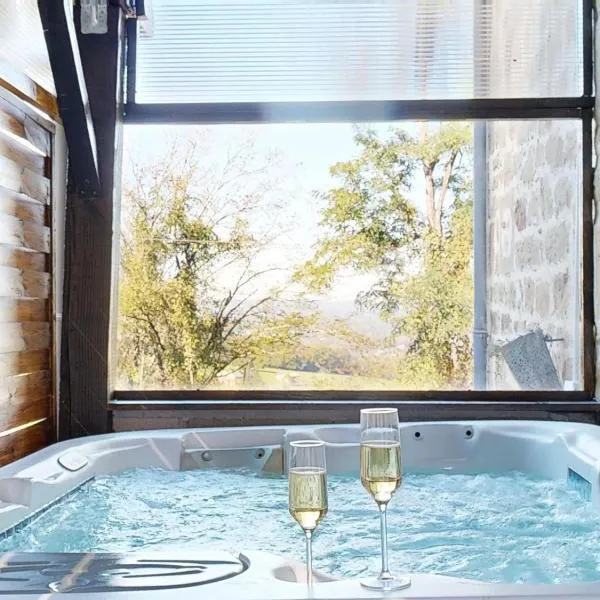 Maison Avec Spa et Sauna Privé，位于布里夫拉盖亚尔德的酒店