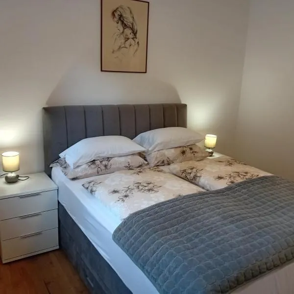 Apartman Andrić，位于洛夫兰的酒店