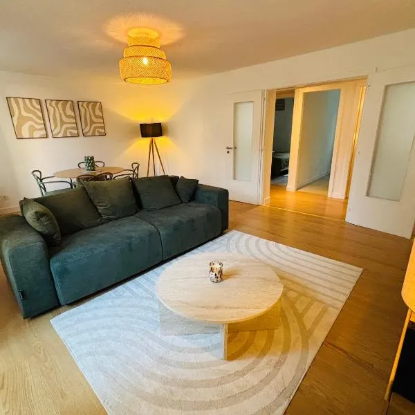 Appartement Mulhouse Centre historique，位于米卢斯的酒店