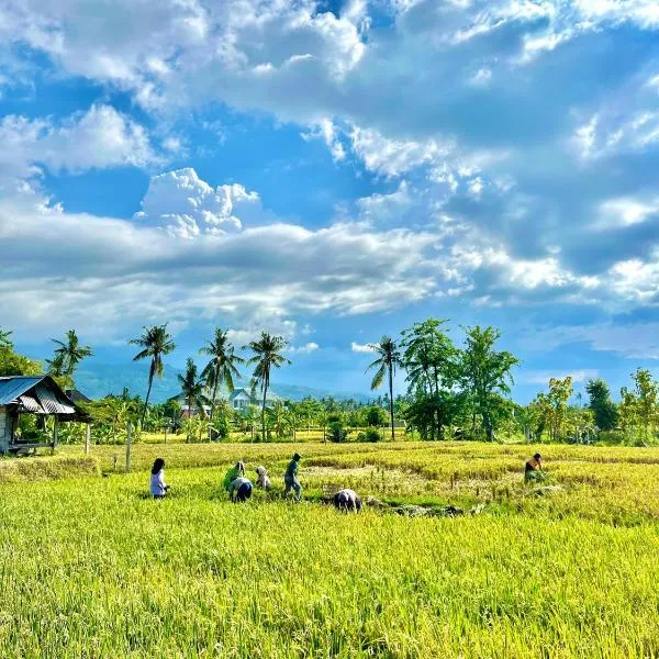 Rumi Bumi - Lovina Rice Terrace Retreat，位于罗威那的酒店