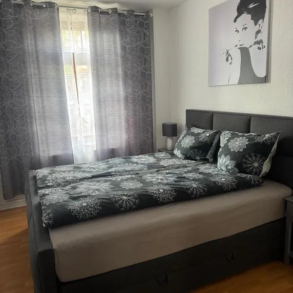 A&A Apartments，位于开姆尼茨的酒店