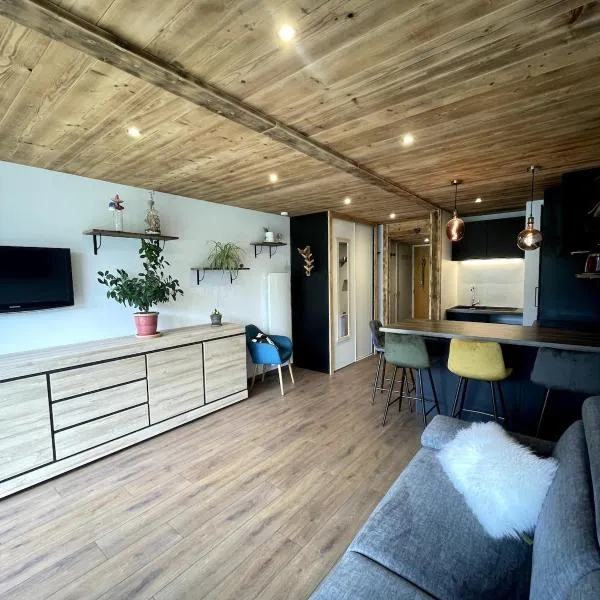 Apartment in Morzine Le Morzena，位于莫尔济讷的酒店