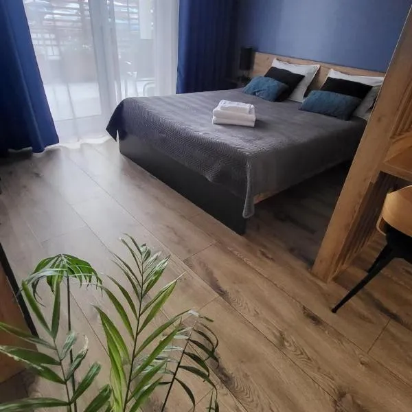 Apartament - Sienkiewicza 22D，位于扎莫希奇的酒店