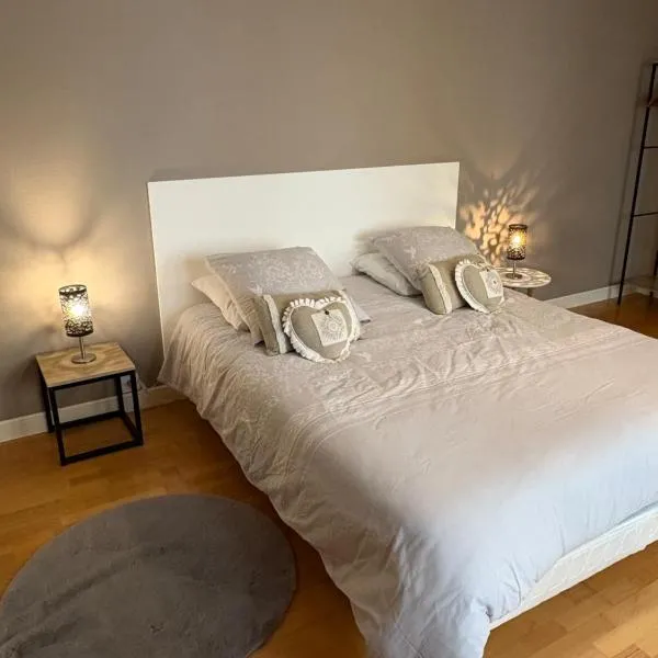Appartement centre ville，位于朗格勒的酒店