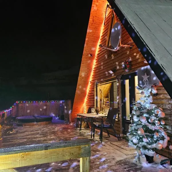 Cabana Lupul din Apuseni，位于Mătişeşti的酒店