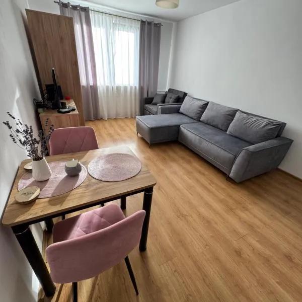 Stare Miasto 10，位于马尔堡的酒店